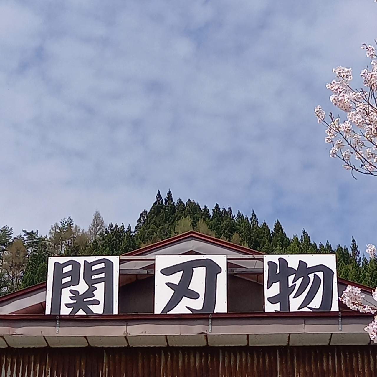 20250424_131505[1]